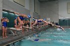 Swimming vs Babson  Wheaton College Swimming vs Babson College. - Photo By: KEITH NORDSTROM : Wheaton, Swimming, Babson